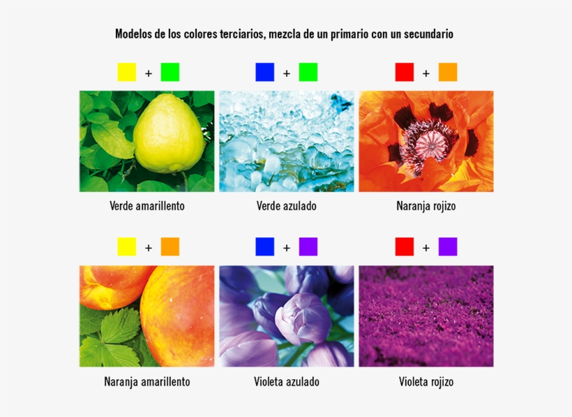 Los Colores Terciarios - Objetos De Colores Secundarios, transparent png