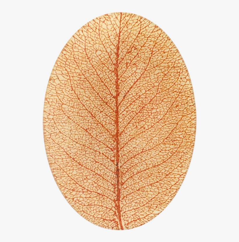 Circle, transparent png
