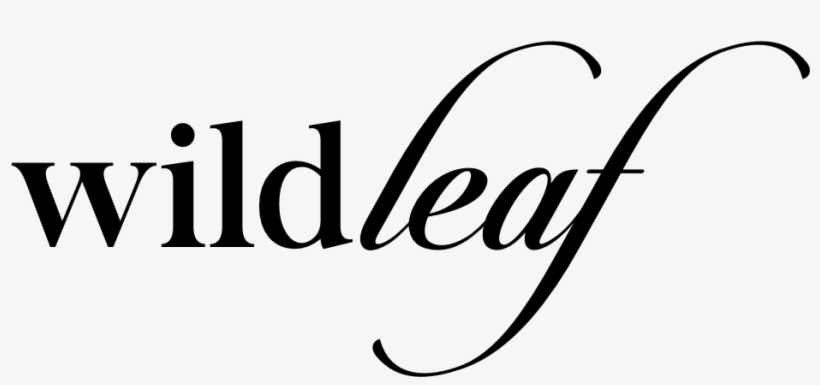 Pimple Free Skin In 5 Easy Steps - Calligraphy, transparent png