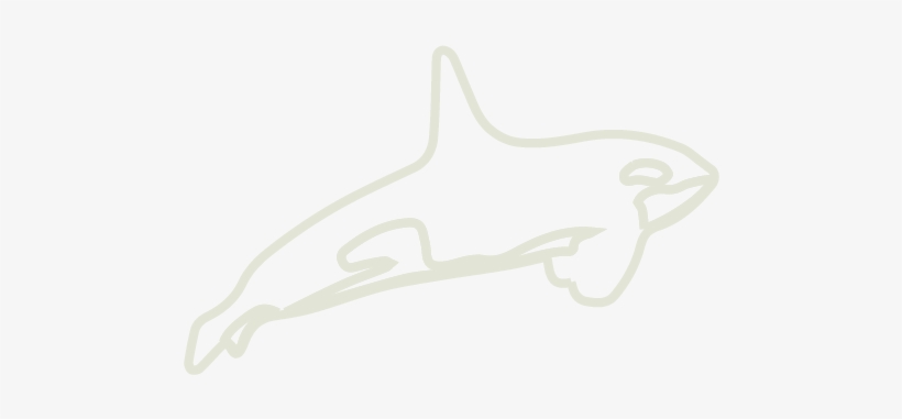 2016 Yearonehighlights Housing Outline - Clothes Hanger, transparent png