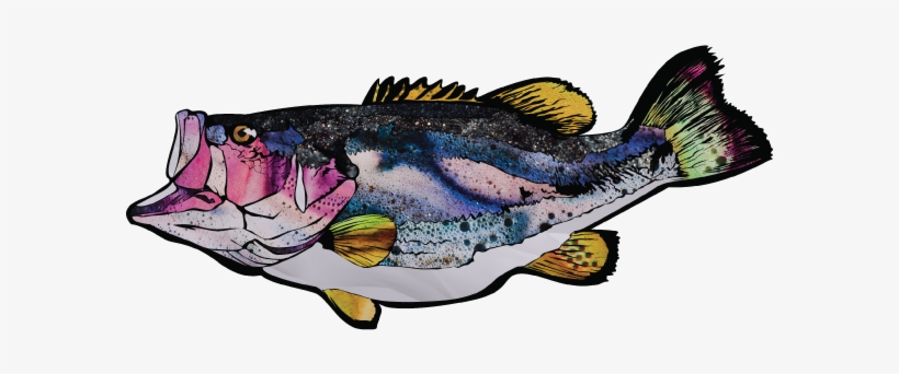 Fish - Bass, transparent png