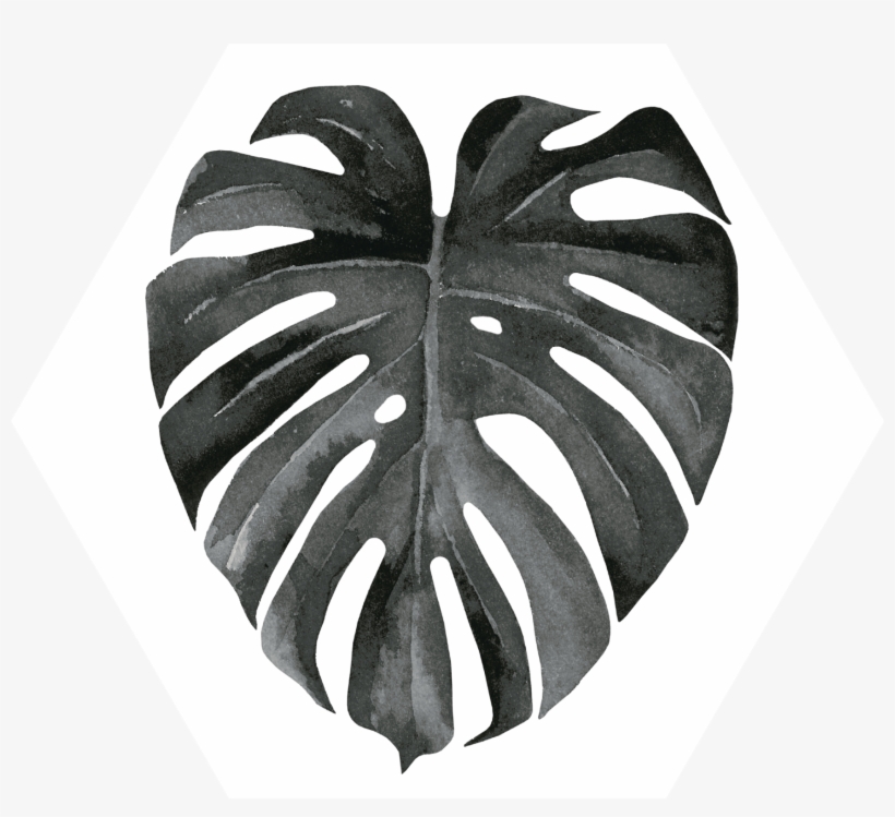 Invertebrate, transparent png