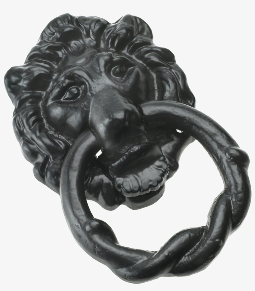 Lion Head - Masai Lion, transparent png