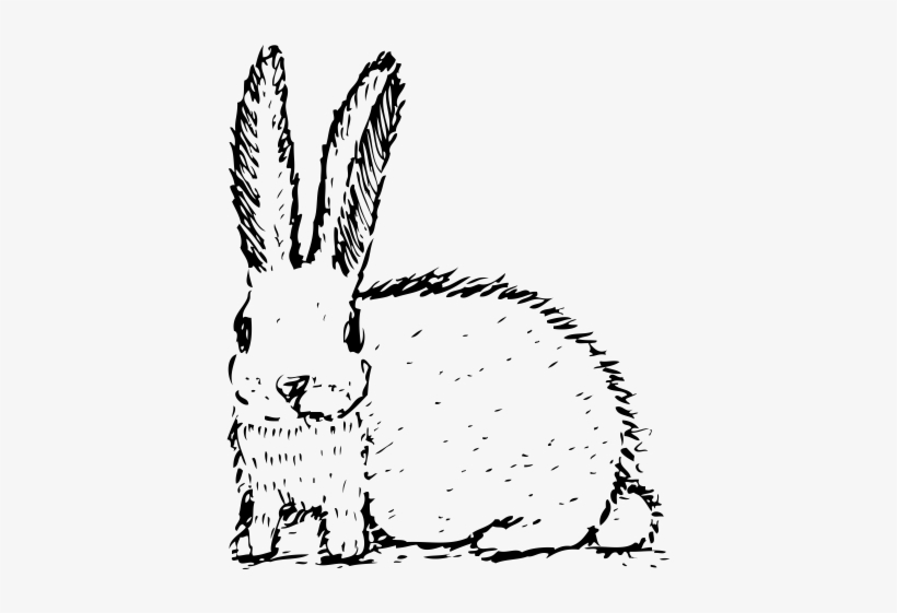 Rabbit Rubber Stamp - Domestic Rabbit, transparent png
