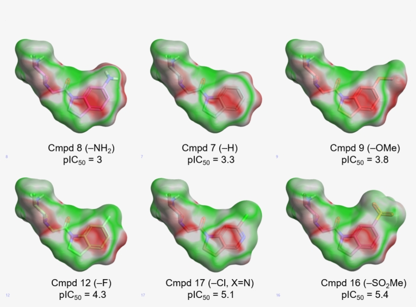 Electrostatic Complementarity Maps For Some Of The, transparent png