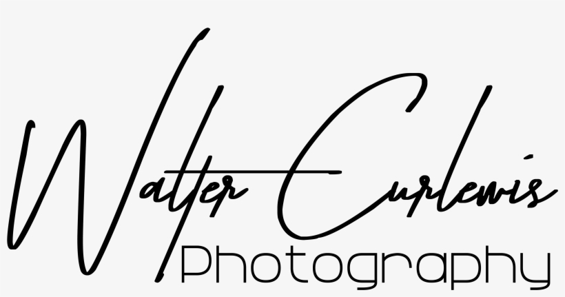 Curlewis Photography - The Journey Begins, transparent png