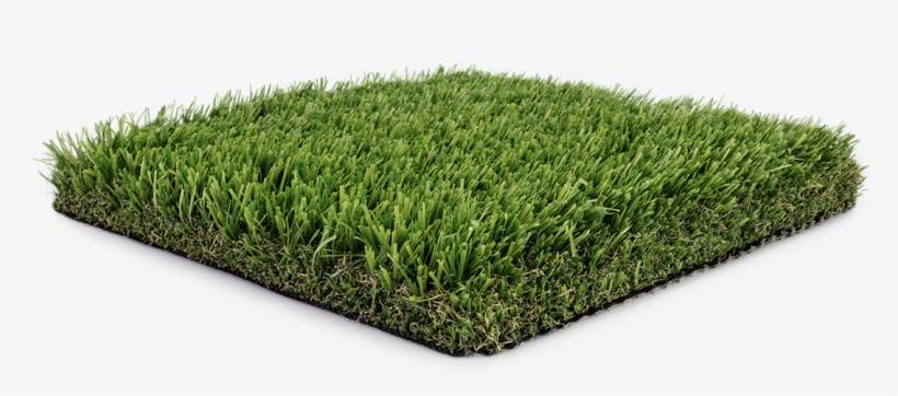 Turfhub Landscape Collection - Lawn, transparent png