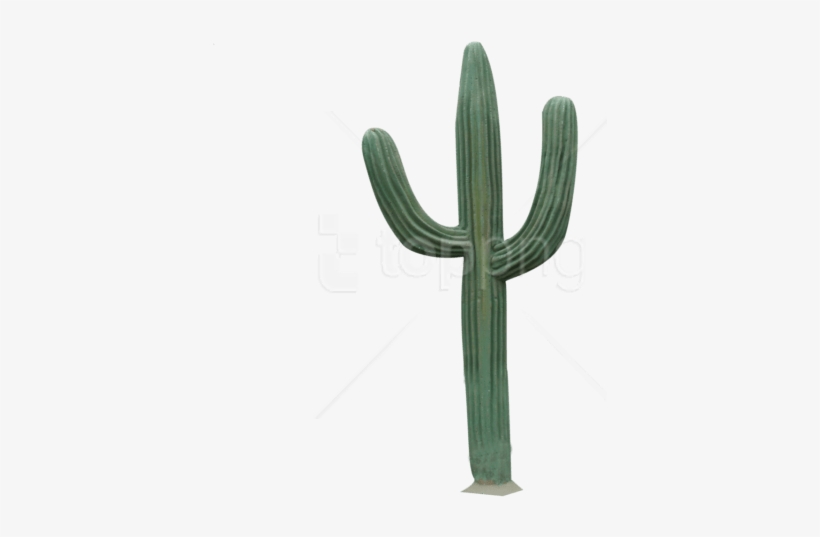 Free Png Download Cactus Png 4 Png Images Background - Cactus Png, transparent png