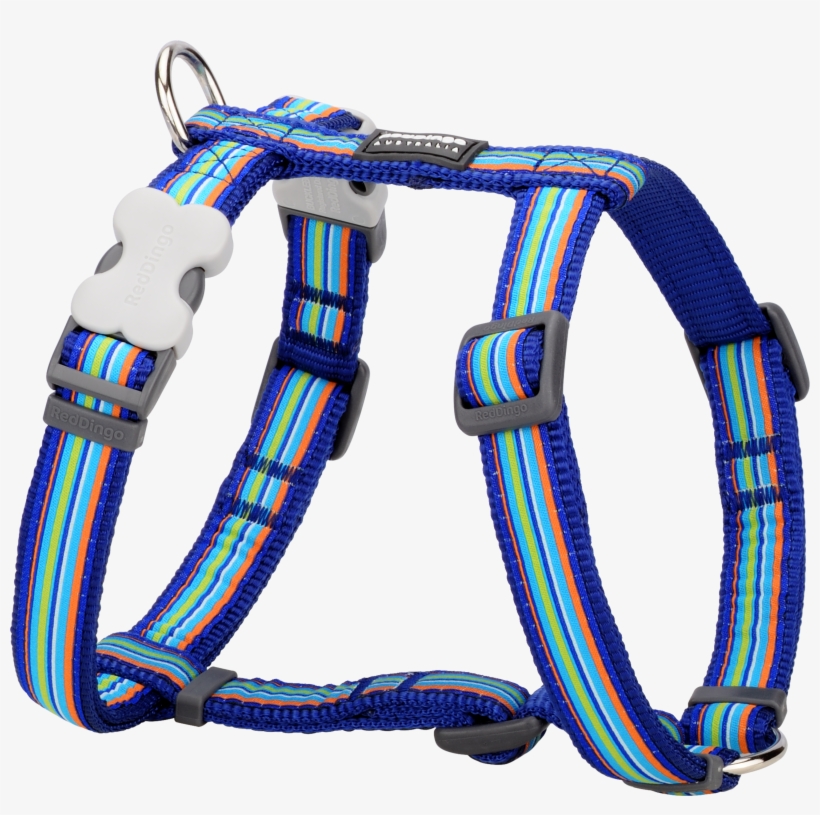 Products - Belt, transparent png