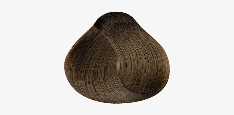 Cockle, transparent png