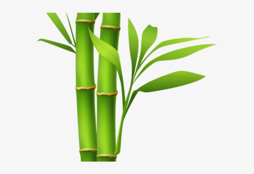 Bamboo Clipart Island Border - Transparent Bamboo Clip Art, transparent png