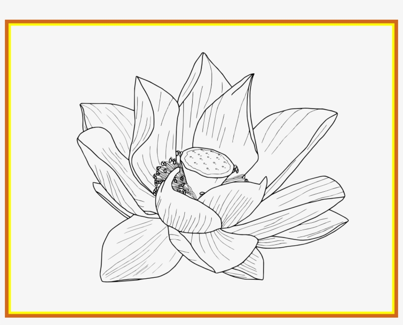 1650 X 1250 8 - Clip Art, transparent png