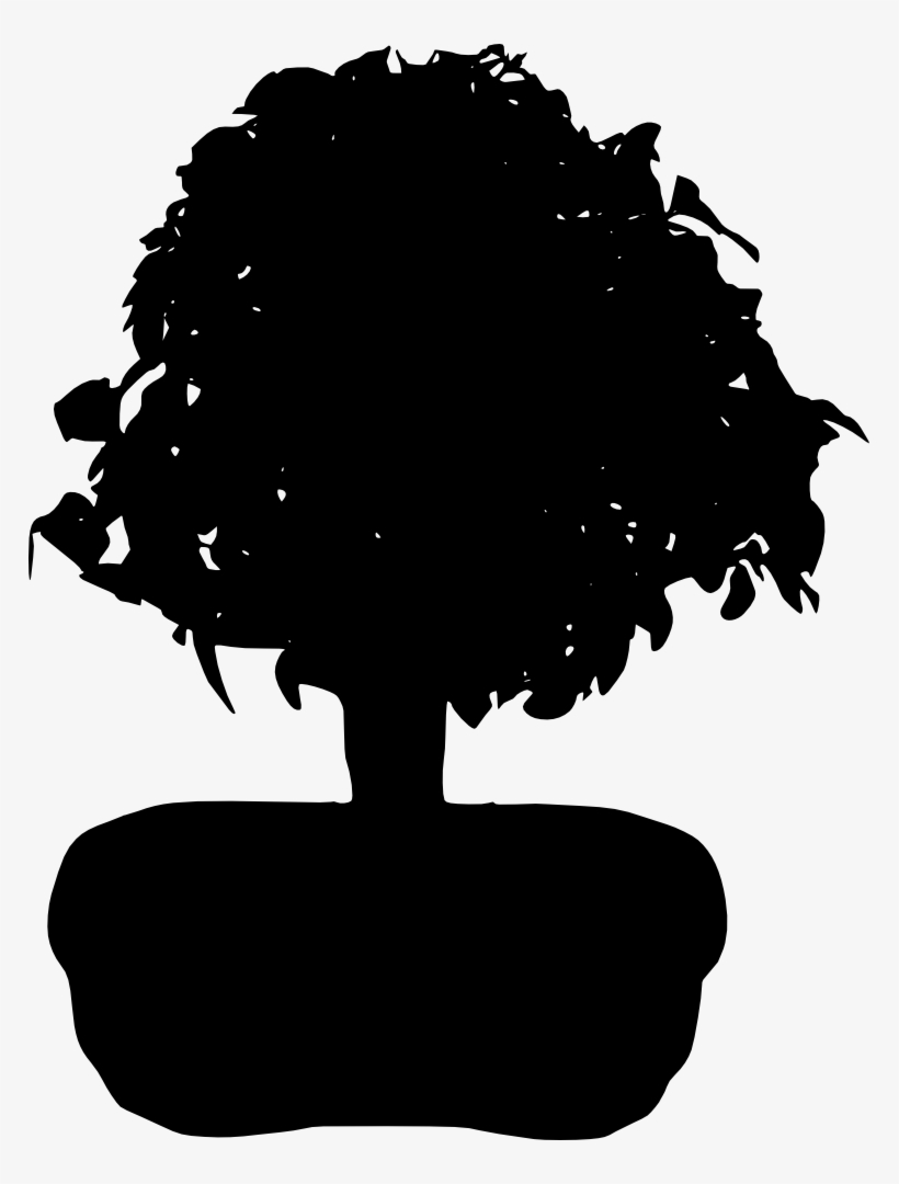 Bonsai Silhouette - Illustration, transparent png