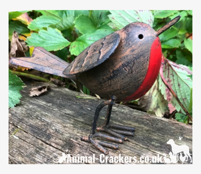 Tin Robin - Perching Bird, transparent png