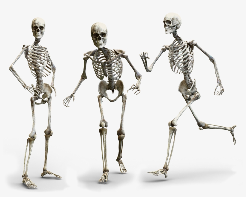 Happy Skeleton Family Does Not Need Over Hyped Consumer - Bones From Person, transparent png