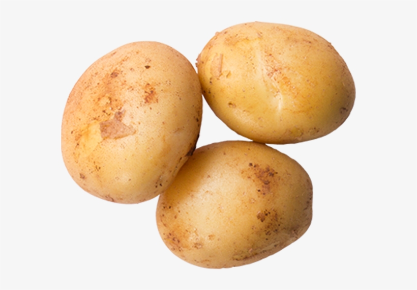 Potato - Yukon Gold Potato, transparent png
