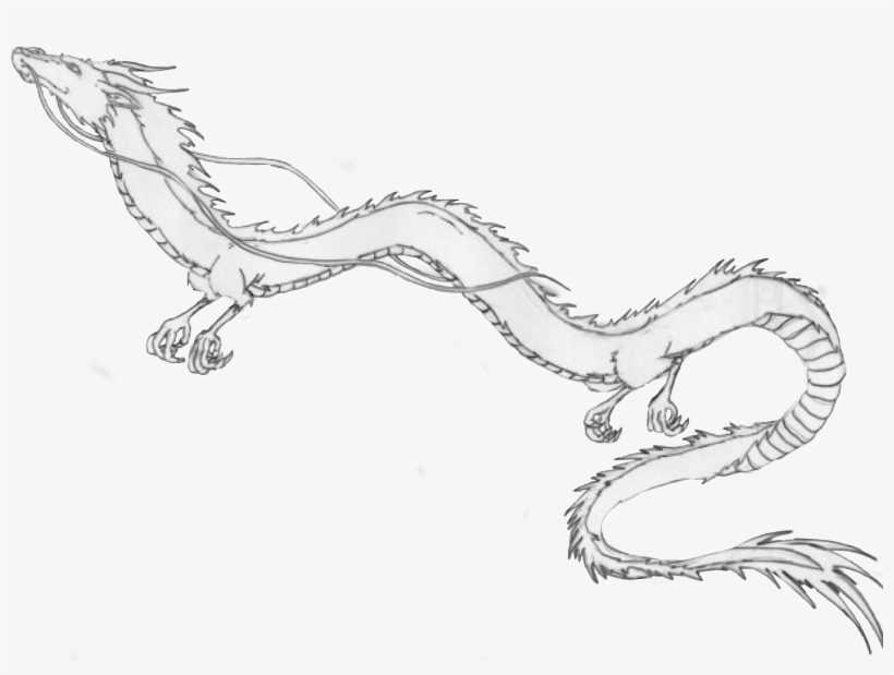 2048 X 1472 3 - Studio Ghibli Haku Dragon, transparent png