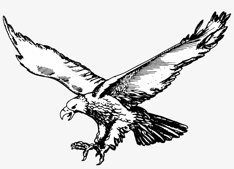 Image Result For Eagles - Olivet High School Logo, transparent png