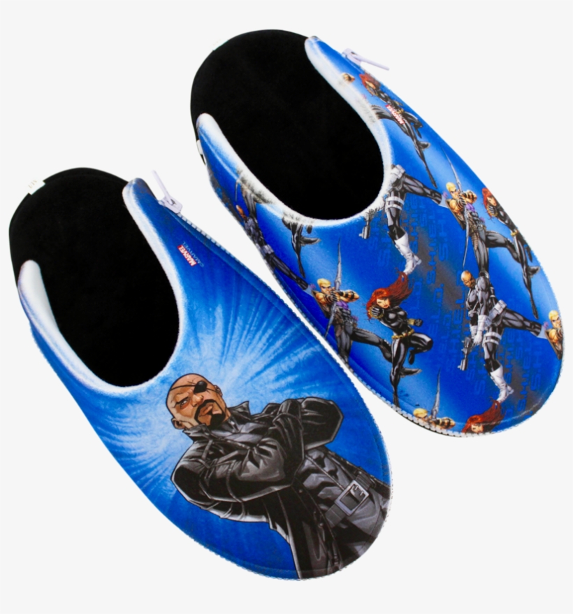 Ballet Flat, transparent png