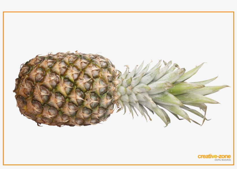 Pineapple, Without Background, Transparent - Pineapple With Transparent Background, transparent png
