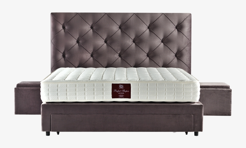 Serta, Magnifique - Magnifique Serta, transparent png