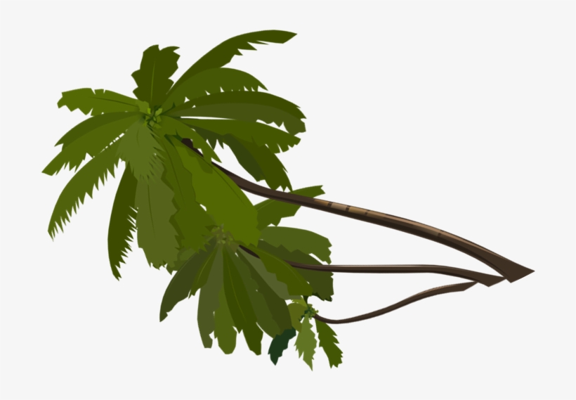 No Frame - Pacific Bleeding Heart, transparent png