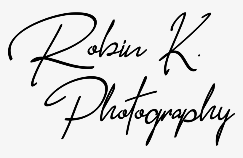 Robin Logo Png, transparent png