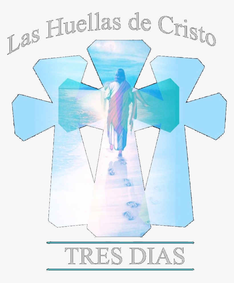 Hctd Logo - Art, transparent png