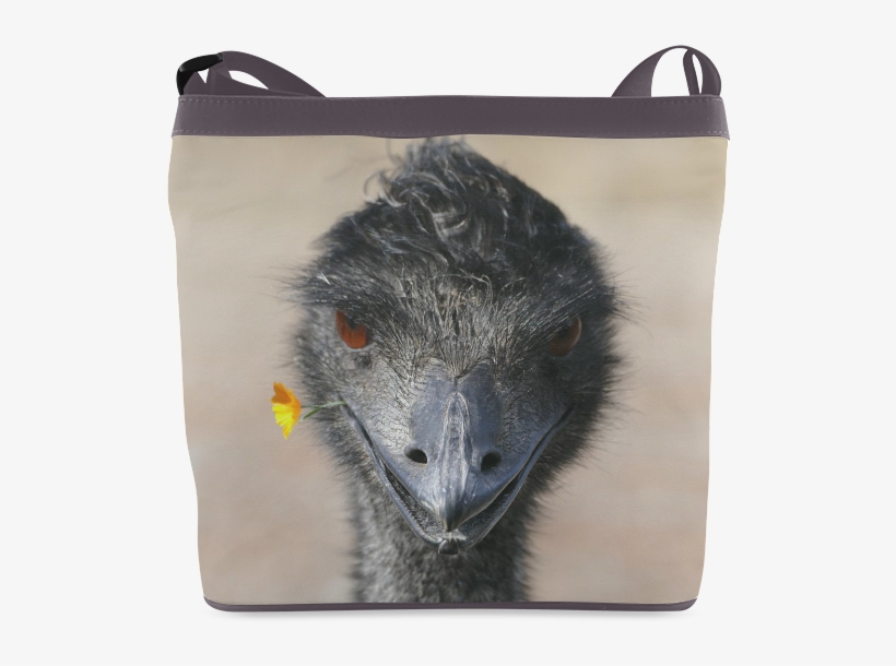 Emu, transparent png