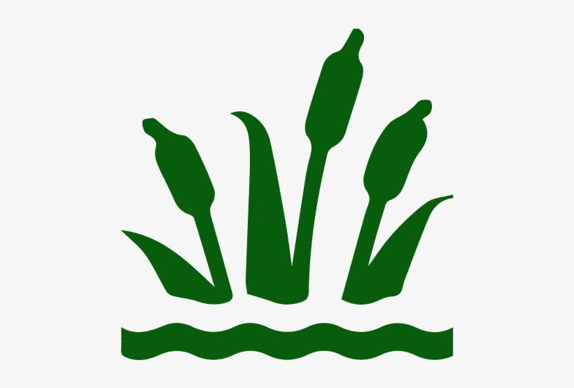 Christmas Tree Icon - Wetland Icon, transparent png