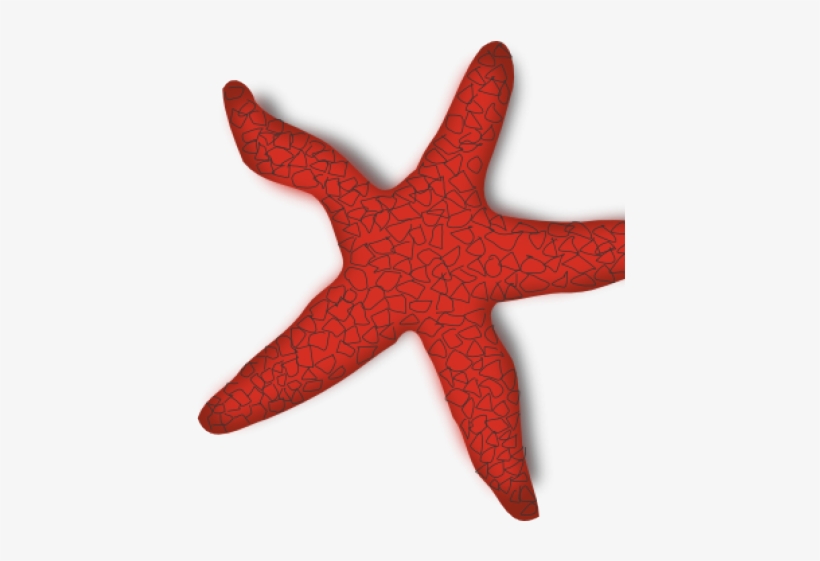 Starfish Clip Art, transparent png
