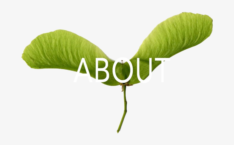 About Green Propeller About Green Propeller, transparent png