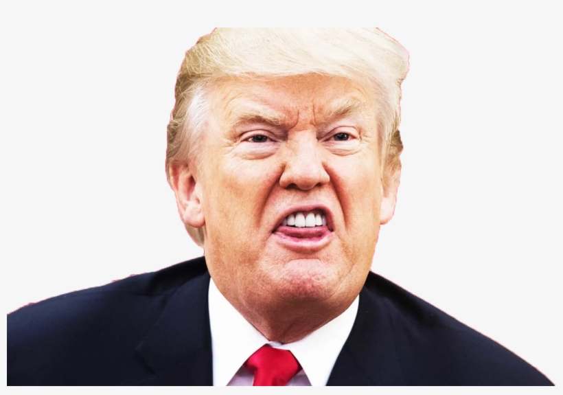 First He Came For The Mexicans, And I Did Not Speak - Stupid Trump Face, transparent png
