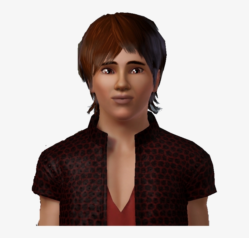 Vmvfivb - Lace Wig, transparent png