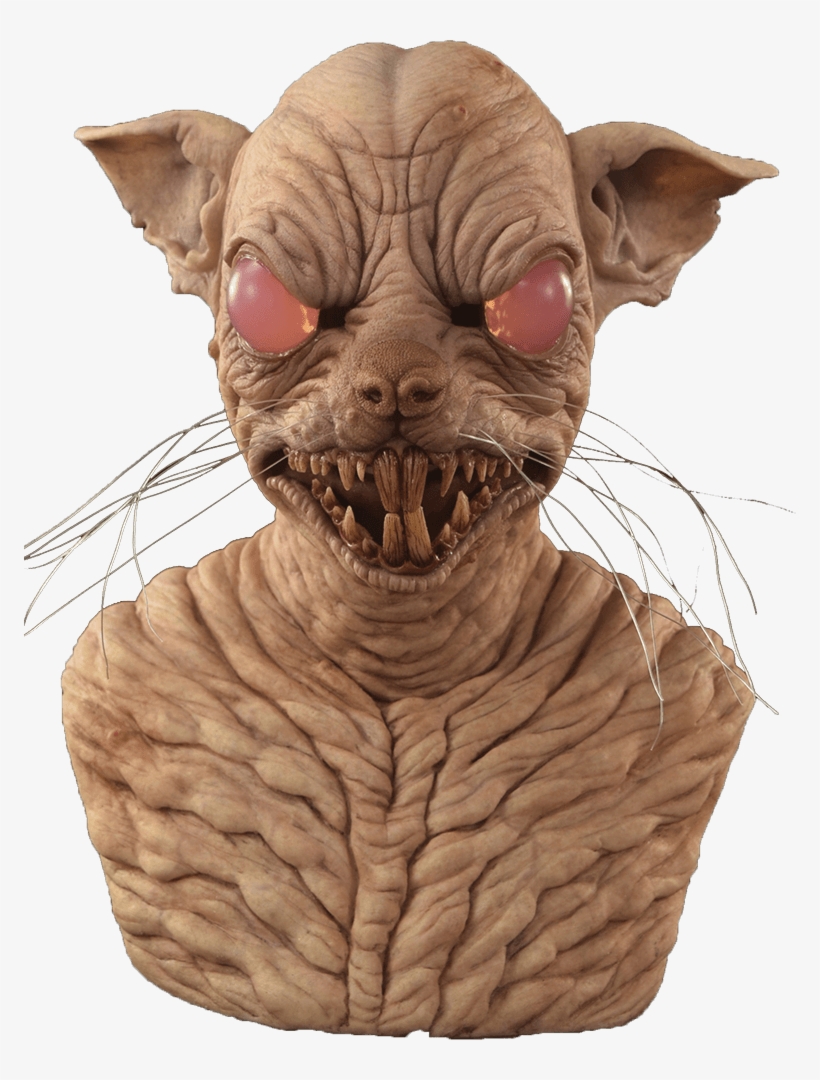 Mortimer The Rat - Minskin, transparent png
