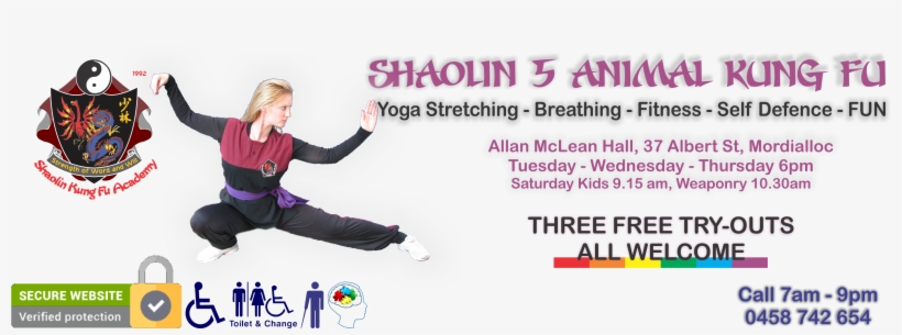 All The Information You Ever Wanted To Know About Kung - Wushu, transparent png