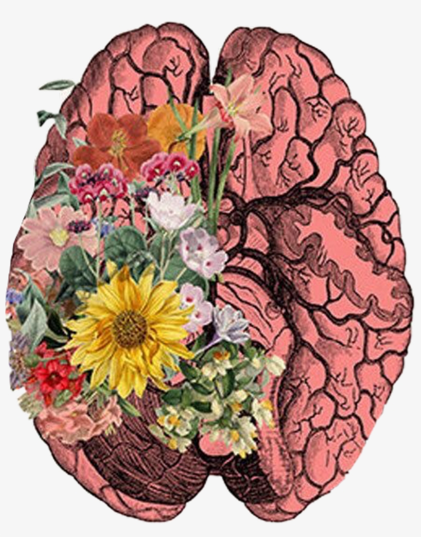 #brain #cerebro #art #flores #freetoedit - Brain And Flower Art, transparent png