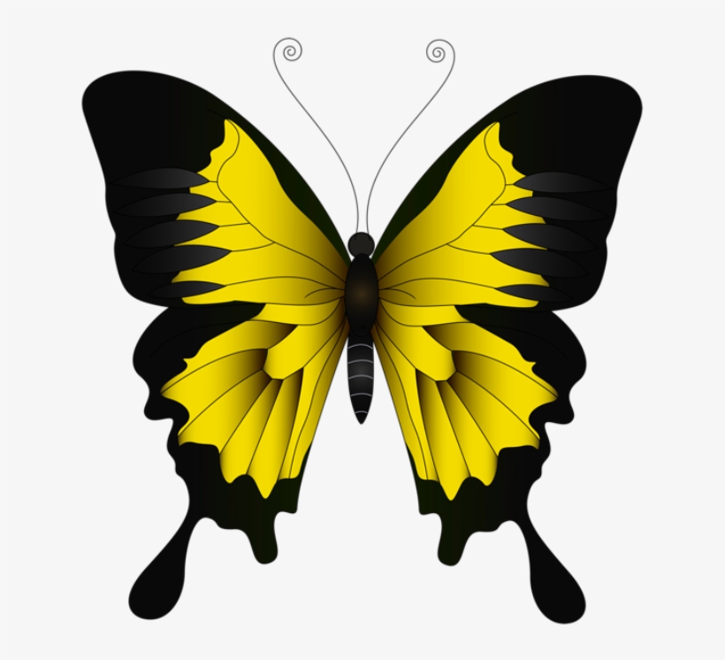 Borboletas Borboleta Amarela E Preta Png - Green Butterfly Clip Art, transparent png