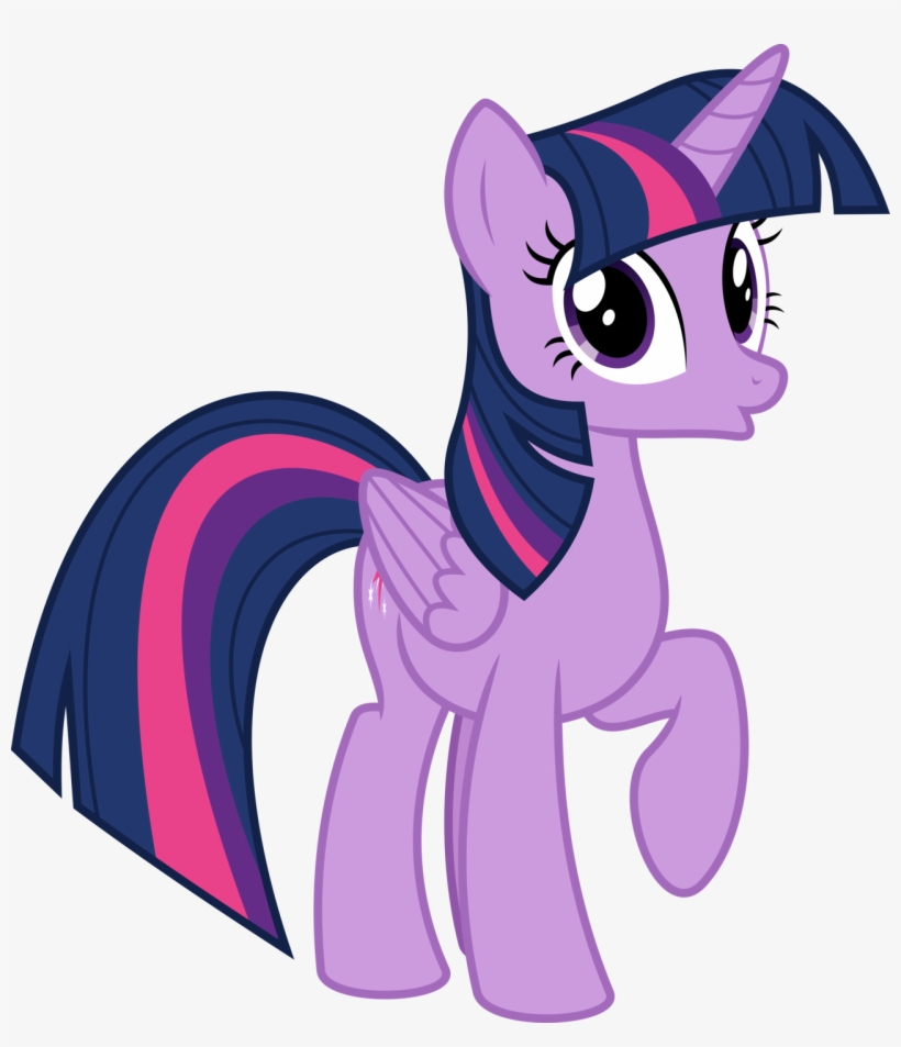 Fifth Part Of The Six Alicorns Project, With Twilight - My Little Pony Uni, transparent png