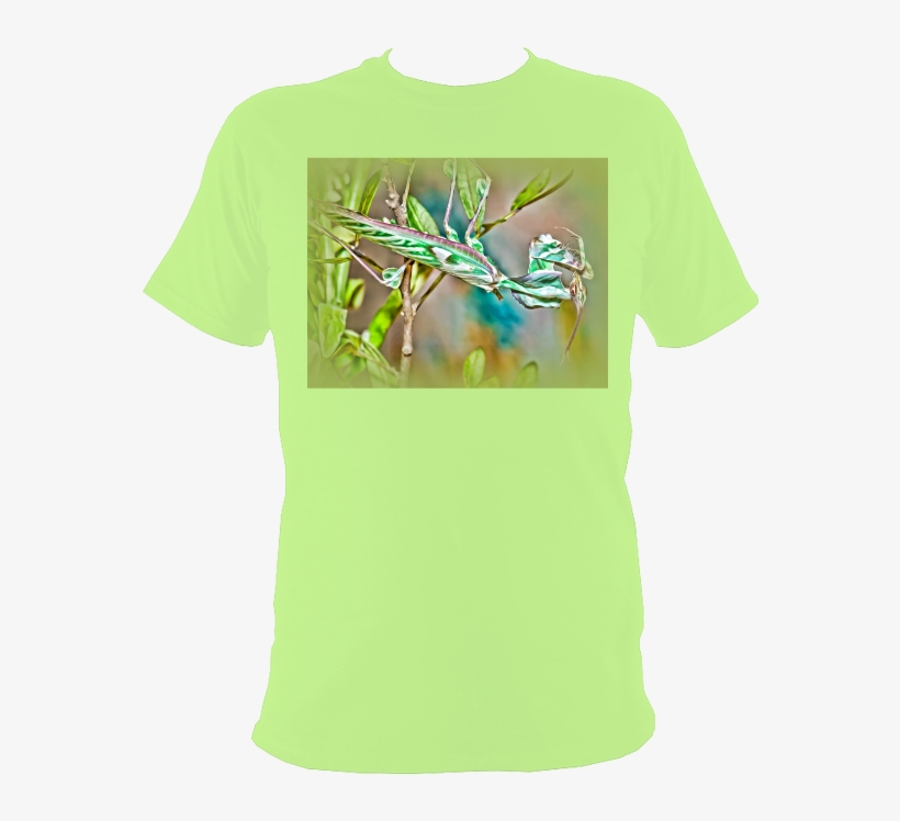 New-5 - T Shirt Aviation, transparent png