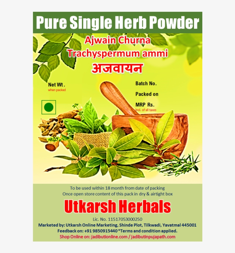 अजवान Trachyspermum Ammi - Poster, transparent png