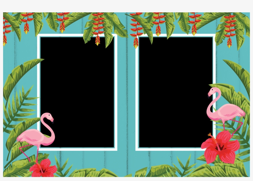 Picture Frame, transparent png