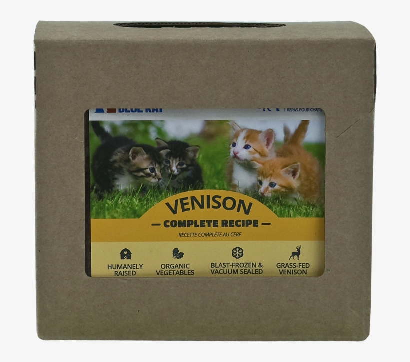 Vencat14 - Swift Fox, transparent png