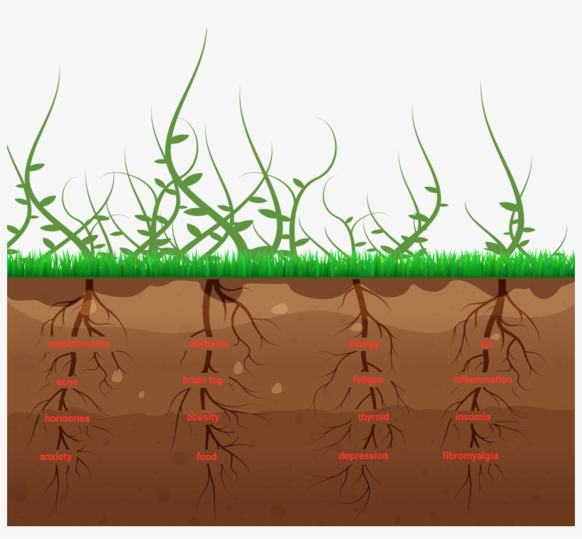 Differences Between Fm & Tm - Grass, transparent png