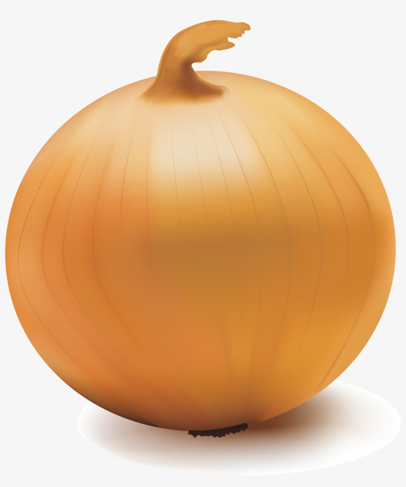 Yellow Onion, transparent png