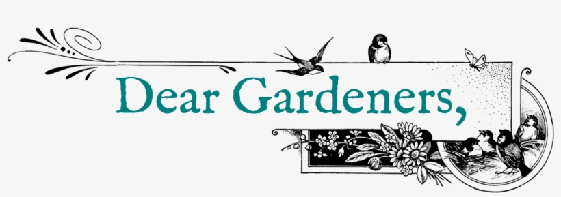 Welcome To An Exciting Gardening Season, Filled With - Illustration, transparent png