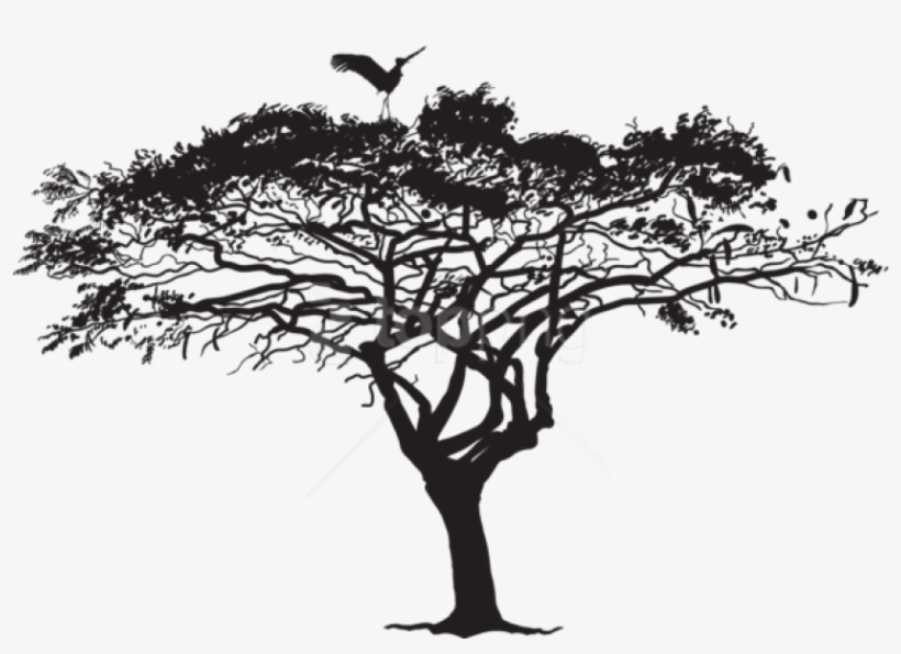 Free Png Exotic Tree And Bird Silhouette Png - Tree Silhouette Png, transparent png