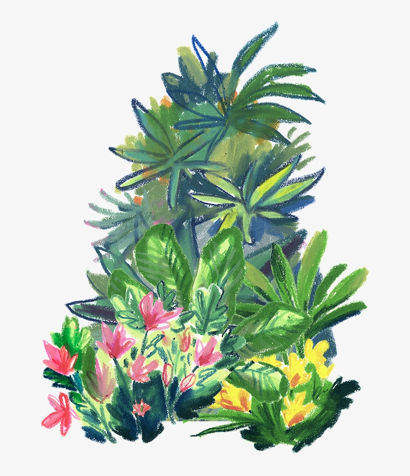 Submit - Tulip, transparent png