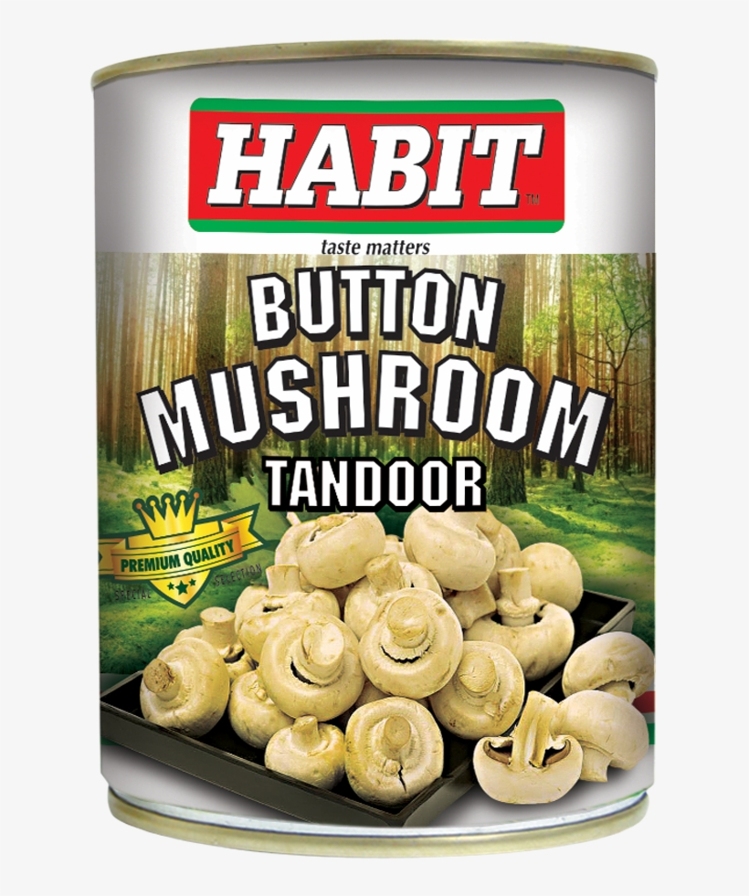 Habitbutton Mushroom Tandoor - Momo, transparent png