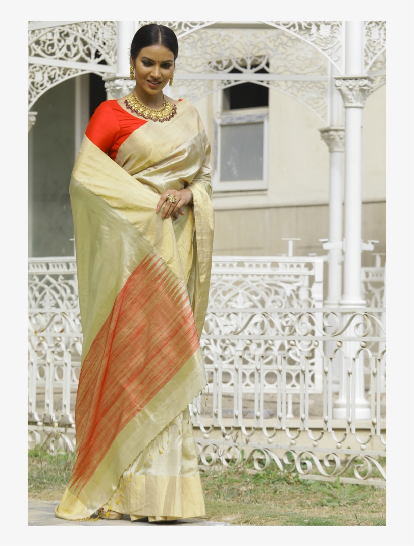 View Larger - Sari, transparent png